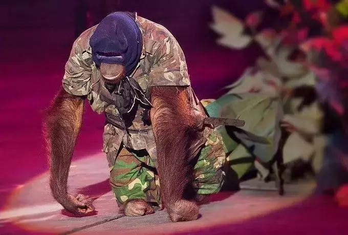 讓人類羞恥的30張圖