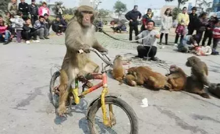 讓人類羞恥的30張圖