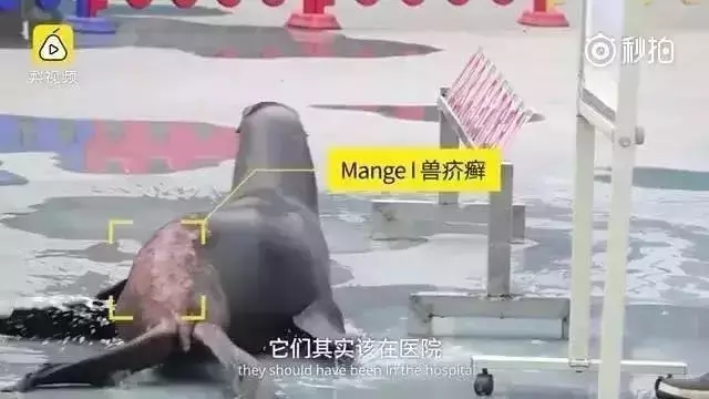 讓人類羞恥的30張圖