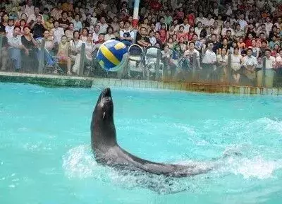 讓人類羞恥的30張圖