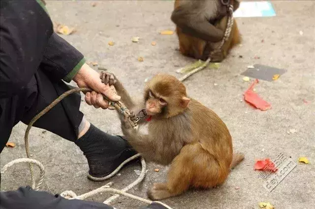 讓人類羞恥的30張圖