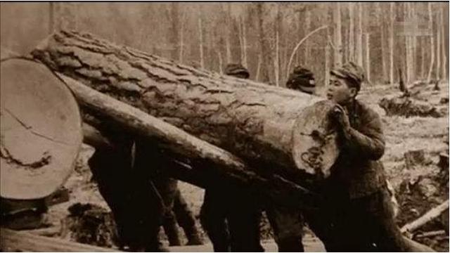 在西伯利亚的日军战俘最好的工作: 愿捡土豆也不愿意去女澡堂工作