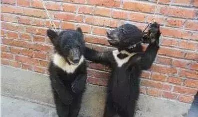 讓人類羞恥的30張圖