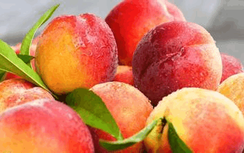 孕期不能吃的食物有哪些? 孕期不能吃的水果有哪些?