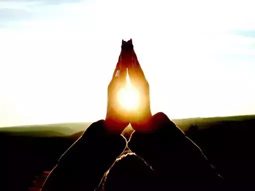 一个903人家族, 310个流氓, 190个妓女, 60个小偷, 7个杀人犯