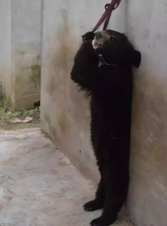 讓人類羞恥的30張圖