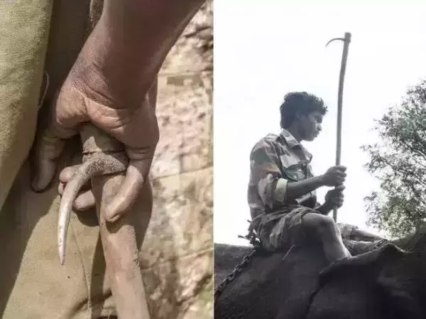 讓人類羞恥的30張圖