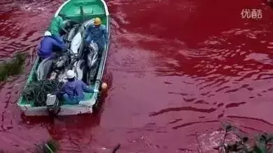 讓人類羞恥的30張圖