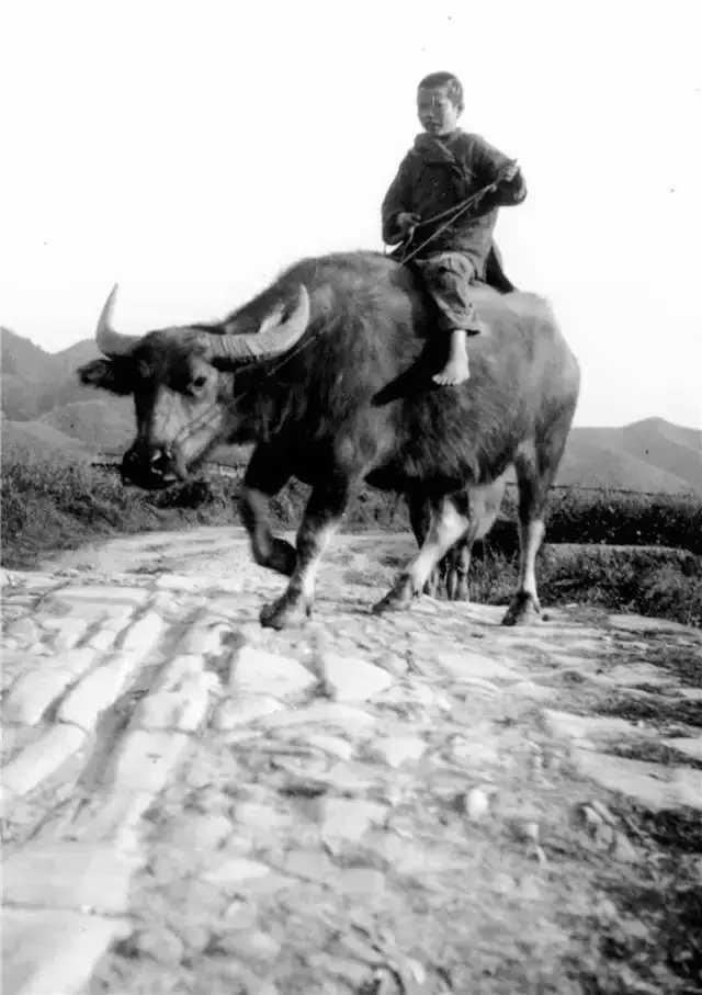 43张民国时代的珍贵老照片