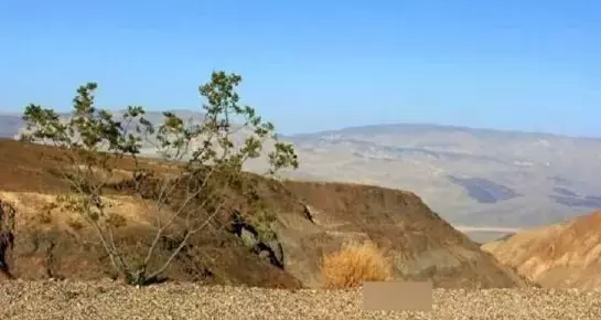 揭秘中国四大死亡禁地: 一般人进去难出来