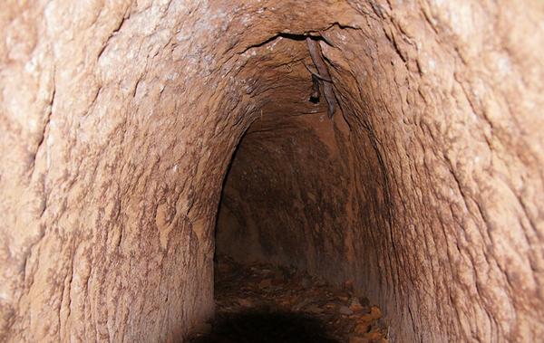 越南人当年做的陷阱, 看着就脚疼