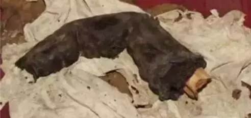 地球上20张你没见过的照片, 每张都很珍贵