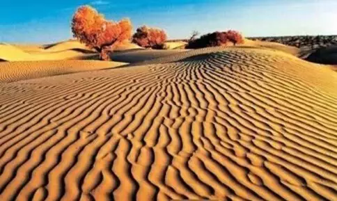 揭秘中国四大死亡禁地: 一般人进去难出来