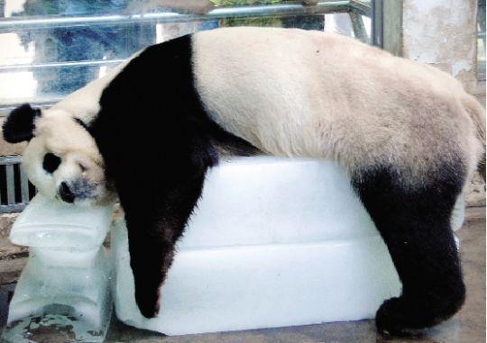 古代皇帝避暑四宝, 最后两个现代土豪都玩不起