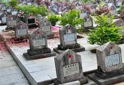 对越自卫反击战, 极为珍贵照片