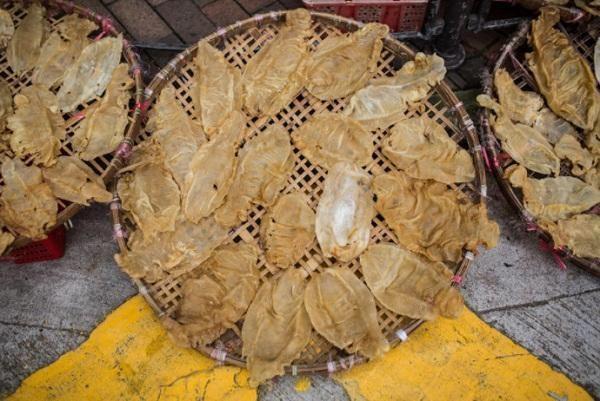 剩不到30只，海中熊猫濒临绝种，恐怕即将跟世界说永别了