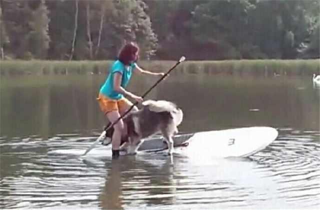 带阿拉斯加划船 结果成了落汤鸡