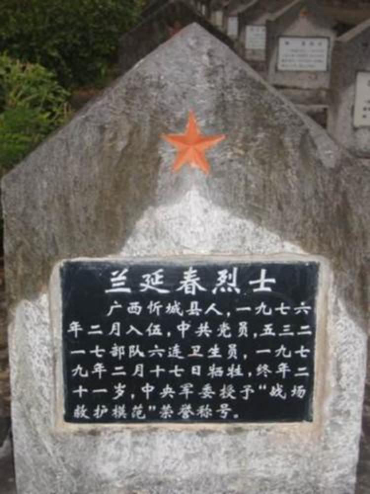 对越自卫反击战英雄谱: 对越自卫反击战中牺牲的一级战斗英雄们