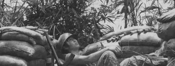 对越自卫反击战, 极为珍贵照片