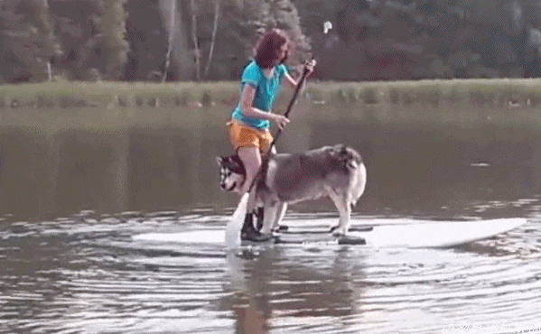 带阿拉斯加划船 结果成了落汤鸡