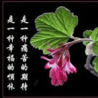 87版红楼梦丫头撞破秦可卿与贾珍偷情, 秦可卿