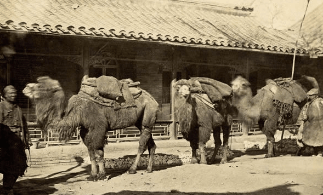 英国人拍摄的北京老照片: 没想到以前的北京是这样的