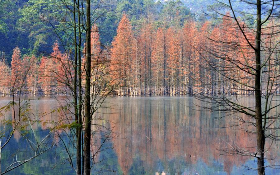 中山:有座珠江口最高峰, 是中山市十景之一
