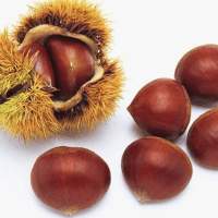 栗子的电影指南的主页_土豆视频