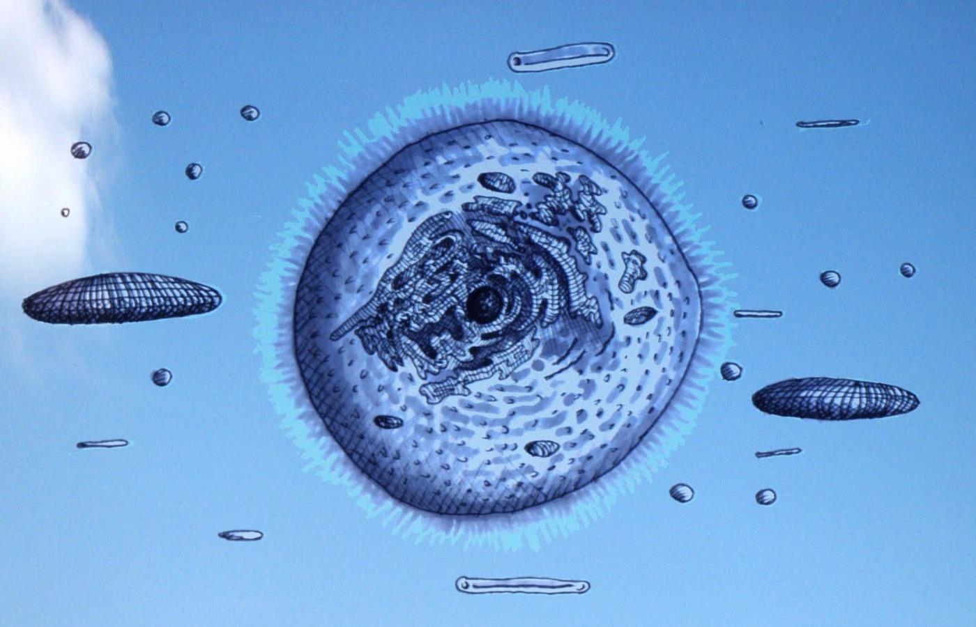 龙是大气层生物? 神秘的大气层巨兽真的存在吗?