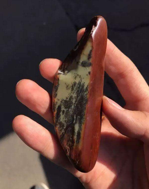 新品种的籽料, 如此极品你们见过吗? 还不看过来?