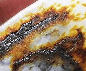 一块起拍6千万1.2亿被拍下的石头, 竟神似烤鸭