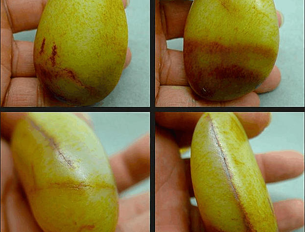 顶部竖裂, 侧面横切裂, 背面网状裂, 这块和田白玉独籽还有救吗?