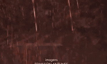 搞笑Gif: 大爷卖肉是认真的! 哈哈不知道是哪里的? 这么有福气能吃上这种肉!