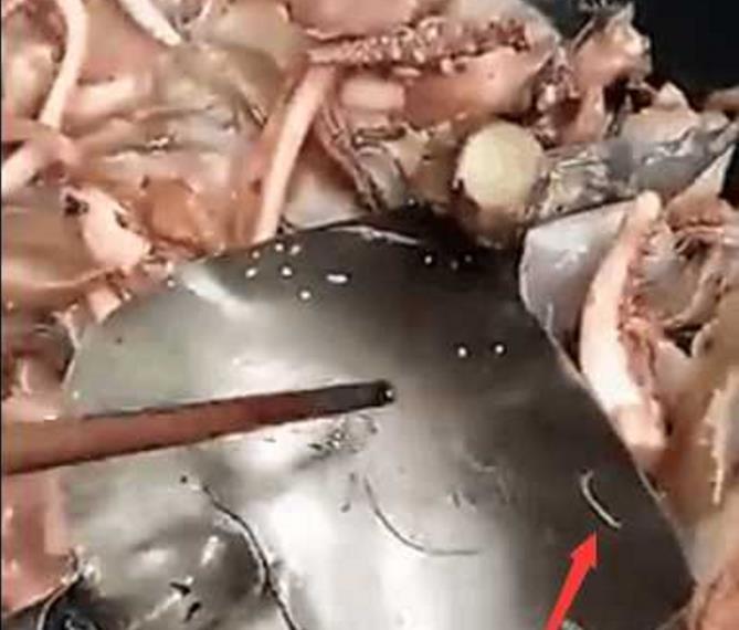 小伙喜欢吃鱿鱼, 在超市买了鲜鱿鱼回来自己做, 却发现鱿鱼有白斑