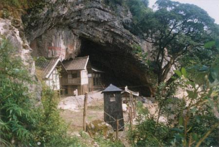 楊虎城之孫口述: 為什么蔣介石殺楊虎城不殺張學良?