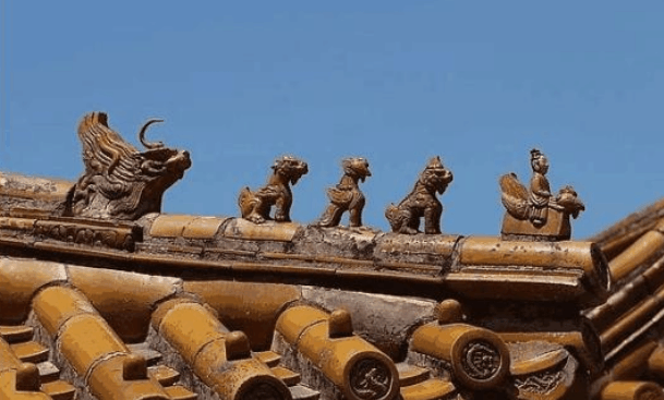 600年來故宮的屋頂為什么沒有鳥糞? 專家: 佩服古人的智慧