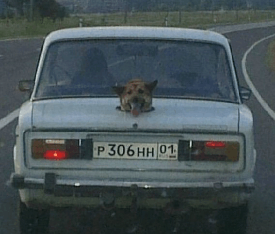 让老外崩溃的中文试题系列: 哈哈哈...哈哈哈