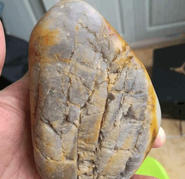 正是不受欢迎的“僵