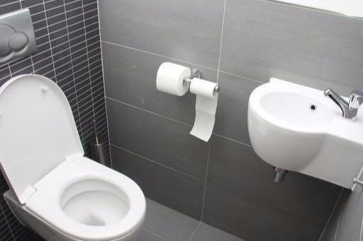 一旦厕所门上挂一“宝贝”, 财富如雨下, 存款飙涨, 记住了