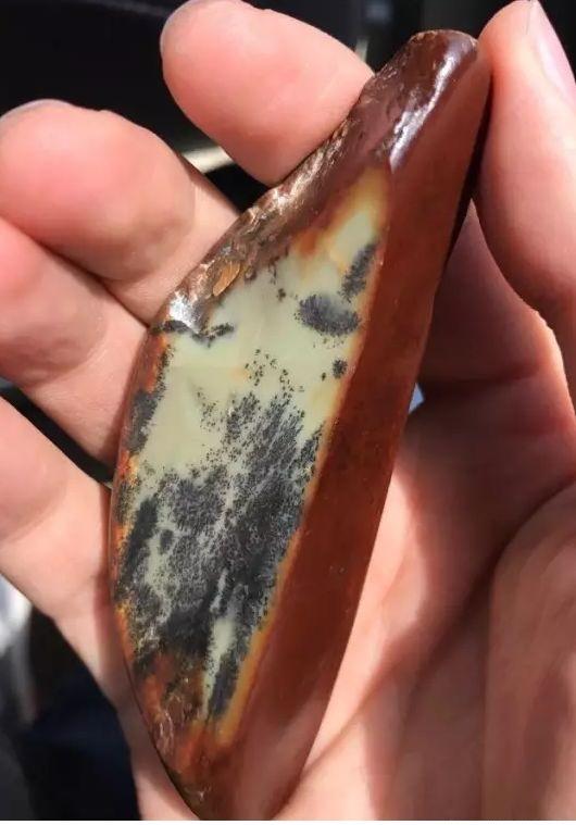 新品种的籽料, 如此极品你们见过吗? 还不看过来?