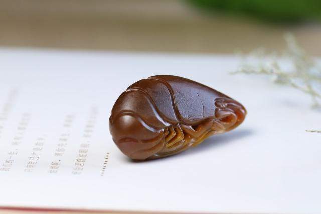 收藏和田玉时首要看五个要素