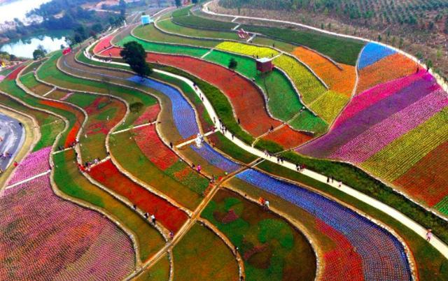 全国最拼的5个省份