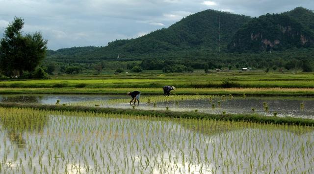 中国离婚率最低的城市, 女性最能忍, 从不跟丈夫吵, 脾气太温柔