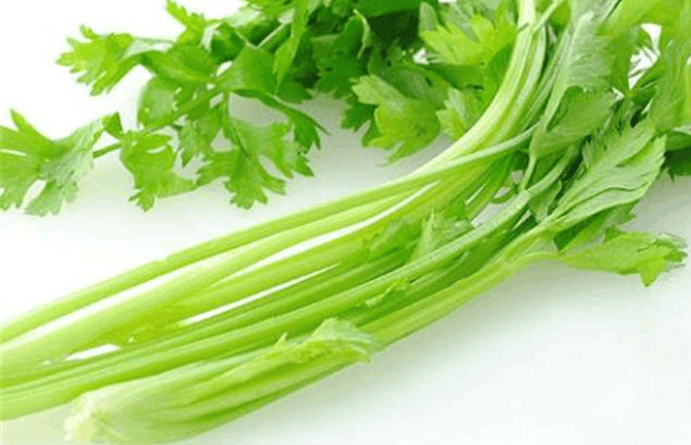 芹菜|医生忠告： 芹菜和它一起吃等于“在吃毒”， 一定要告诉家里人！