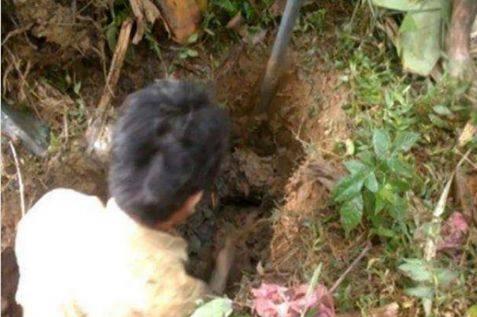 农村小伙石头底下挖出罕见美味, 看看你家石头底下有没有