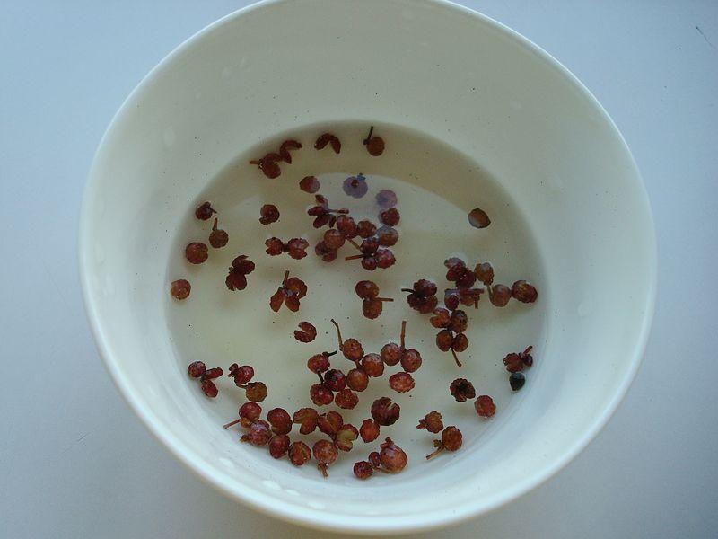 再不吃就成草的苜蓿羊肉饺子 再不吃就成草的苜蓿羊肉饺子