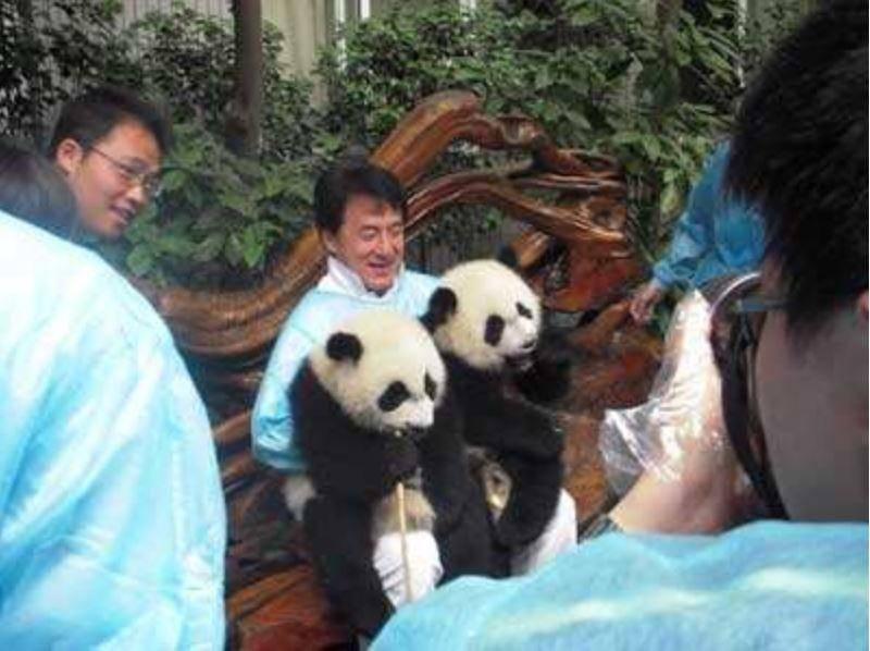 全国那么多地方都有大熊猫，为什么四川是熊猫故乡？