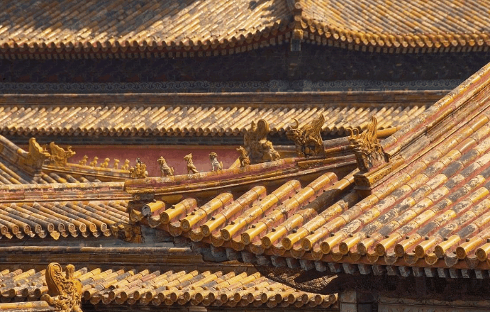 600年來故宮的屋頂為什么沒有鳥糞? 專家: 佩服古人的智慧