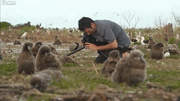 海龟@人类到底有多作孽? 一组图看清人类多么残忍
