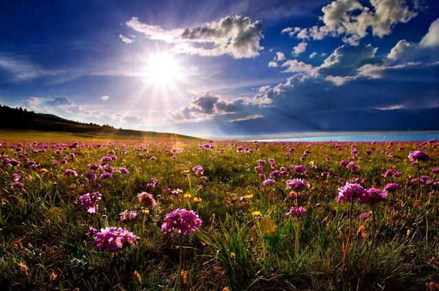 每个人都有一个新疆梦, 这是我的新疆梦, 你的呢?